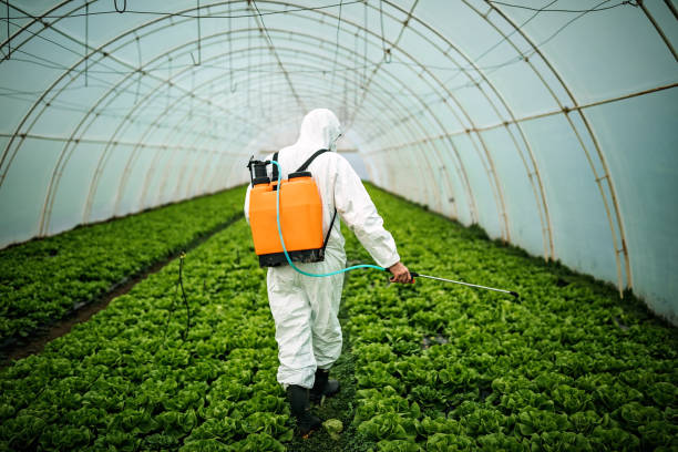 Best Best Pest Control Companies  in Centrevle, IL