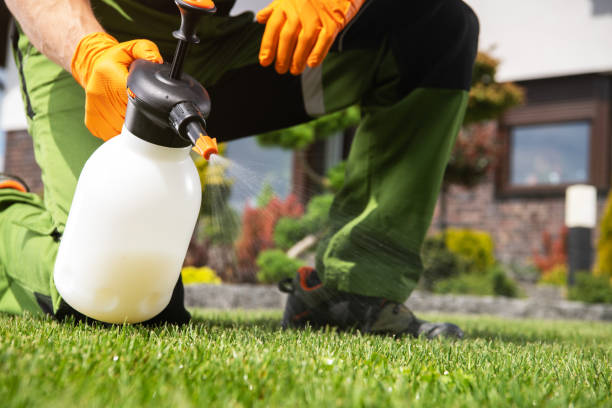 Best Wildlife Control Services  in Centrevle, IL
