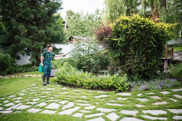 Best Residential Pest Control  in Centrevle, IL