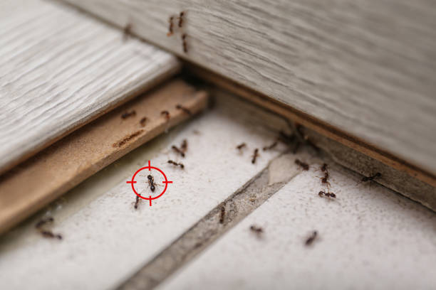 Centreville, IL Pest Control Company