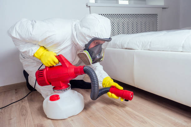Flea Control Services in Centreville, IL
