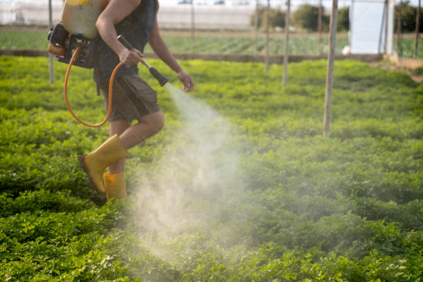 Best Emergency Pest Control  in Centrevle, IL