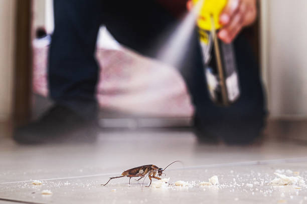 Best Pest Removal Services  in Centrevle, IL