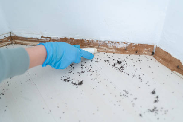 Best Exterminator Services  in Centrevle, IL