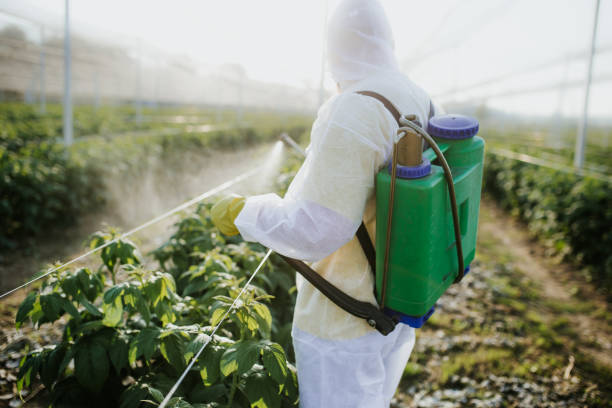 Best Flea Control Services  in Centrevle, IL